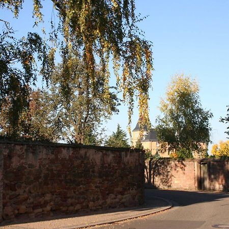 Ferienwohnung Spatzennest In Edesheim Zewnętrze zdjęcie